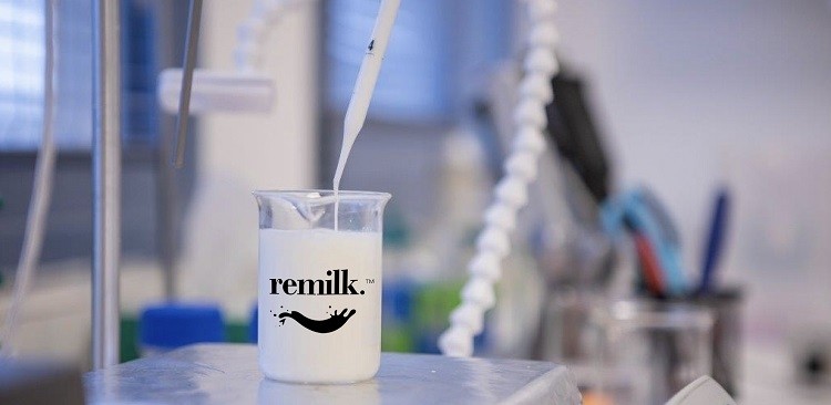 Izraelská společnost Remilk postaví v Dánsku největší mlékárnu bez zvířat na světě