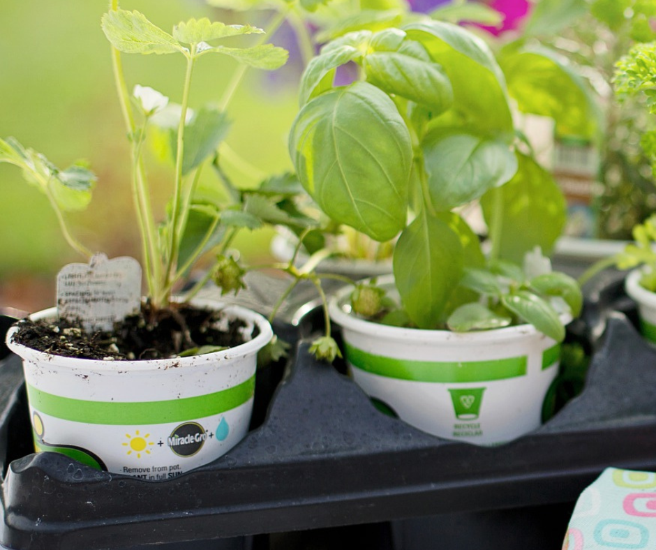 5 tipů, jak zahradničit s minimem odpadu
